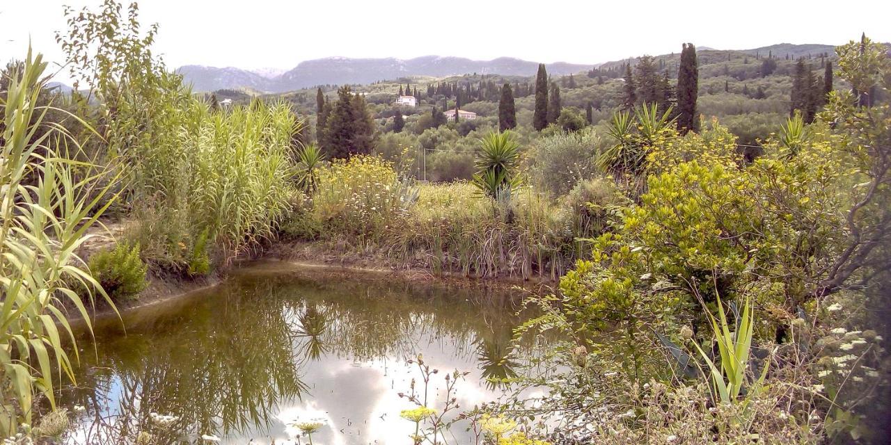 Aroggia Farm Farm stay